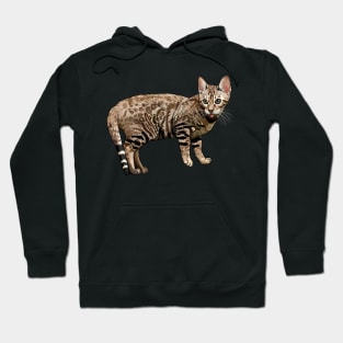 Brown Bengal Cat Blep Hoodie